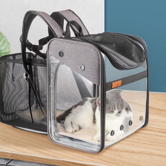 Pet Expandable Cat Backpack