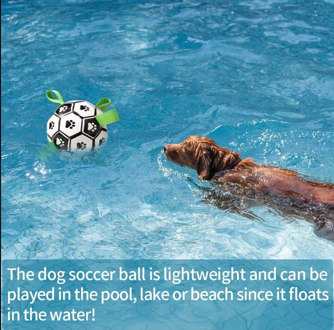 Dog Toys Interactive Pet Soccer Ball